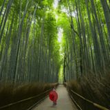 京都観光するなら抑えたい！３分で分かる嵐山の魅力